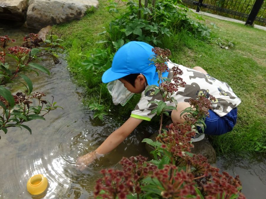 幼児舎内の湧水池