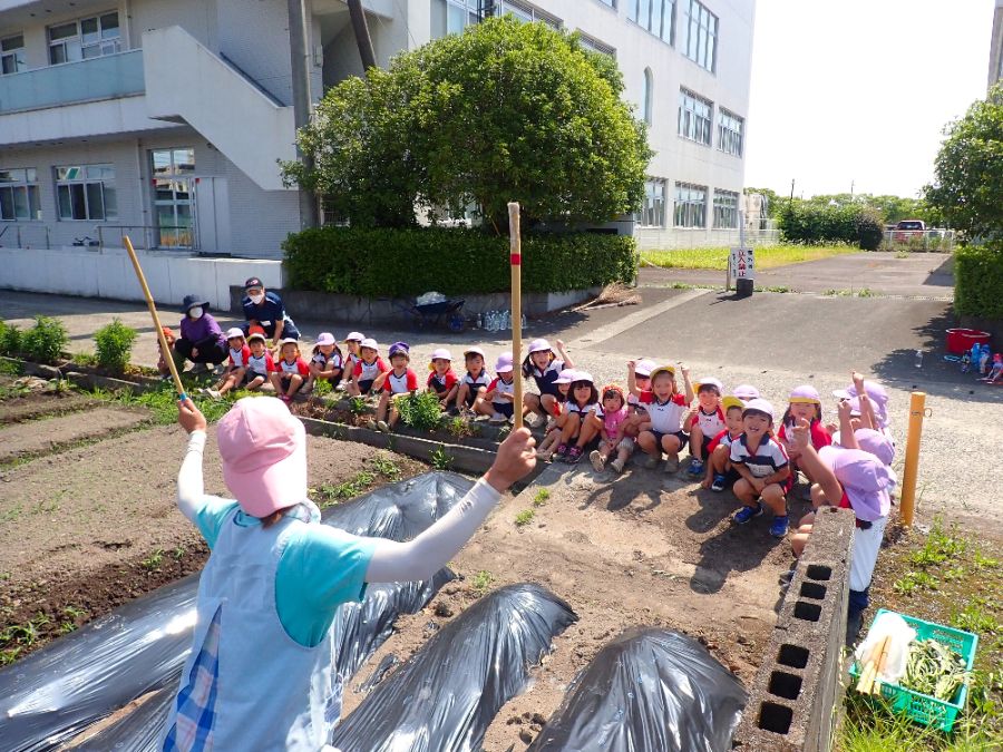 社会福祉法人なかよし コスモスこども園 施設検索 大分県公式保育士就業支援サイト 保育おおいた